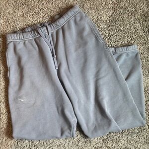 SKIMS dusty blue joggers